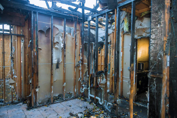 Professional Odor Removal technician working in Potomac, MD