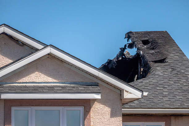 Top rated local Odor Removal specialists in Potomac, MD
